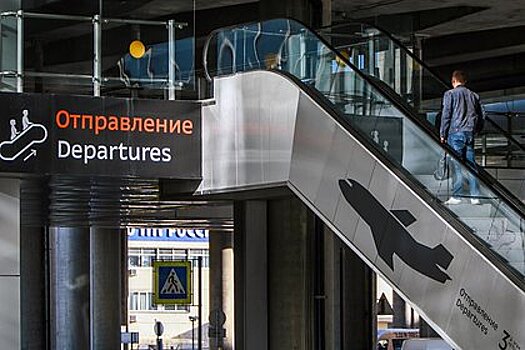 В Санкт-Петербурге захотели усилить охрану аэропорта Пулково