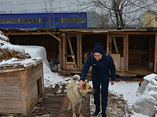 Хоккеисты из Кирова помогли приюту для бездомных собак