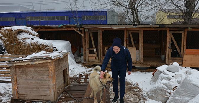 Хоккеисты из Кирова помогли приюту для бездомных собак