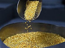 Российский гигант передумал продавать активы в стране