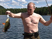 Путин отлично выглядит без футболки: западные СМИ отреагировали на рыбалку президента