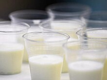 Эксперт прокомментировала предложение не считать молочными продукты с растительным жиром