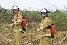 В Ростове прошла тренировка по ликвидации природных пожаров