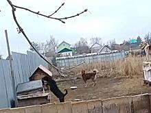 В Волгоградской области вручили награды лучшим сотрудникам скорой помощи