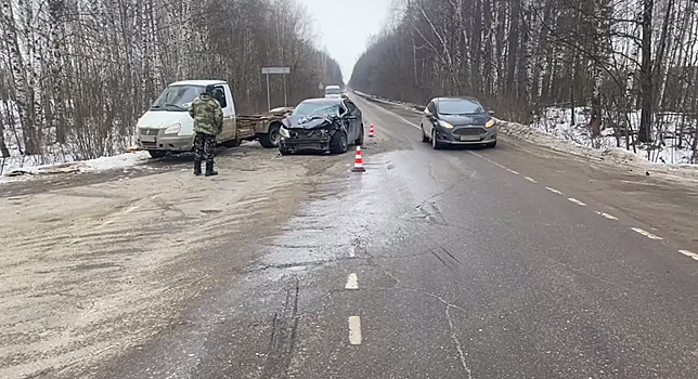 Водитель и пассажир легковушки пострадали в ДТП в Нижегородской области