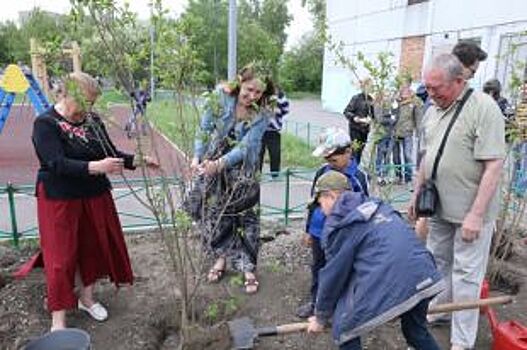 РУСАЛ направит 1,5 млн рублей на озеленение городов