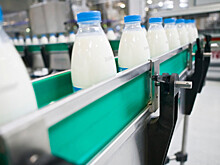 Реализация молока в сельхозорганизациях выросла более чем на 5%
