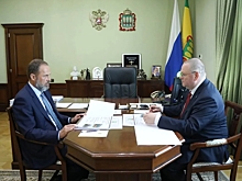 Олег Мельниченко доложил Игорю Комарову о социально-экономическом развитии Пензенской области