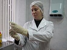 На ВИЗ-Стали провели мероприятия против клещевого энцефалита