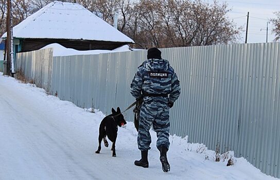 В Челябинской области служебная собака помогла полицейским задержать подозреваемых по горячим следам