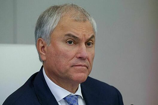 Володин: Сельскохозяйственная отрасль стала преимуществом экономики РФ