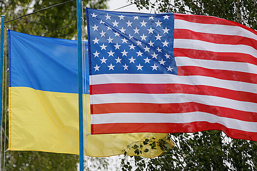 Посол Бринк: в Киеве конгрессмены обсудят помощь США Украине