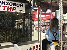 Жительница Воронежа пожаловалась на опасное расположение тира у детской карусели в ТРЦ