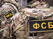 Вучич: В Белград прибыли представители ФСБ РФ для расследования инцидента со звуковой пушкой