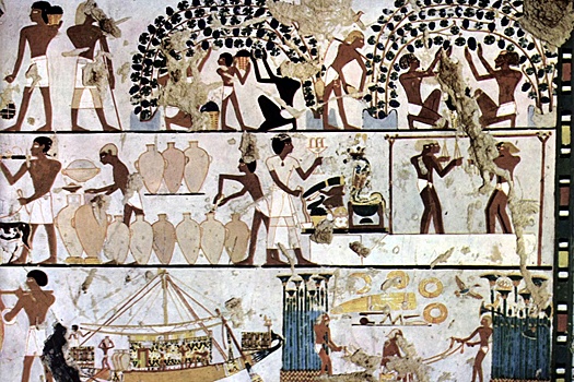 Кувшины с вином возрастом более пяти тысяч лет найдены при раскопках в Египте