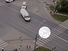 Голубь на «зебре» стал причиной ДТП в Вологде