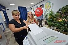 День выборов. За кого проголосовали в Курской области