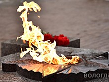 Три поисковых отряда из Вологды получили награды в рамках акции «Вахта Памяти»
