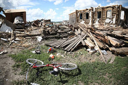 В Зауралье поваленный ураганом лес отдадут жителям