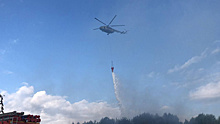 В регионах России борются с лесными пожарами