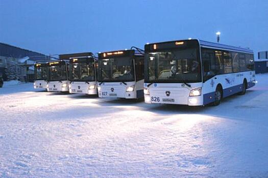 В Новом Уренгое появились низкопольные рейсовые автобусы
