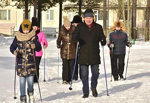 Палки не паспорт, на участке не пригодятся