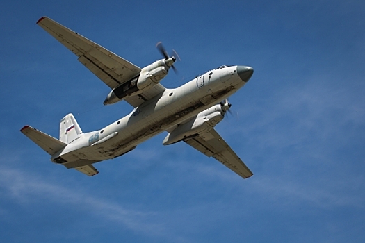 Опубликованы первые кадры с места крушения самолета Ан-26 на Камчатке