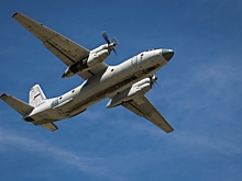 Опубликованы первые кадры с места крушения самолета Ан-26 на Камчатке