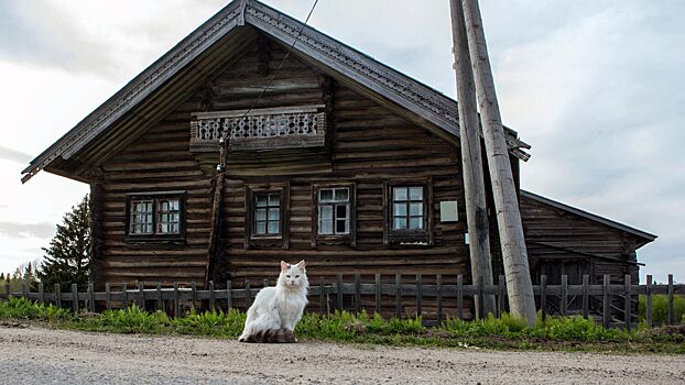 Деревянные дома в России подешевели почти до себестоимости