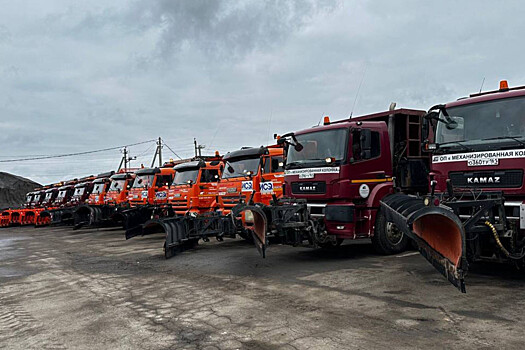 Власти рассказали об обслуживании трассы М-4 &laquo;Дон&raquo; в зимний период