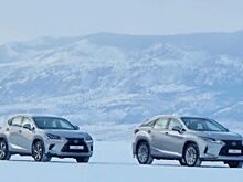 Запущена новая финансовая программа для клиентов Lexus