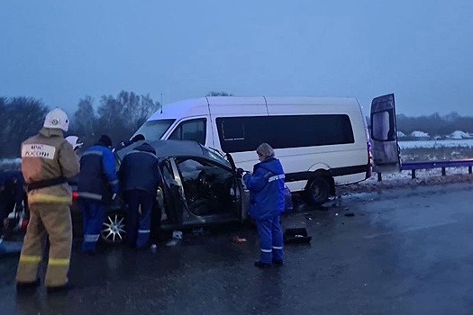 В ДТП с микроавтобусом под Белгородом погибли три человека, четверо ранены
