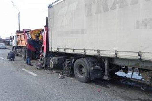 Во Владимирской области водитель DAF уснул за рулем и погиб в ДТП