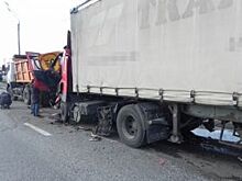 Во Владимирской области водитель DAF уснул за рулем и погиб в ДТП