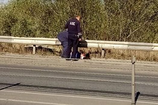 На обочине Северной окружной дороги лежит раненый мужчина