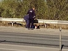 На обочине Северной окружной дороги лежит раненый мужчина