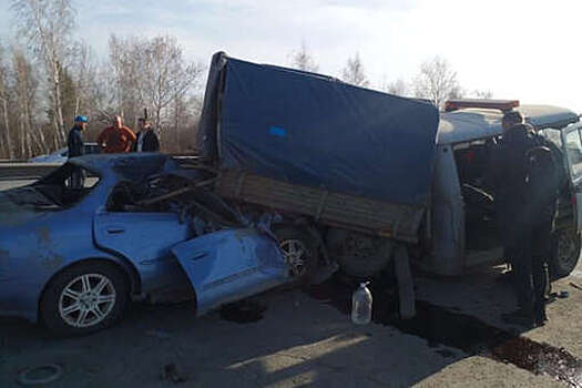 На Урале водитель Toyota насмерть сбил дорожных рабочих