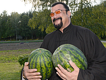 Почему Стивен Сигал не подходит для работы в МИД России