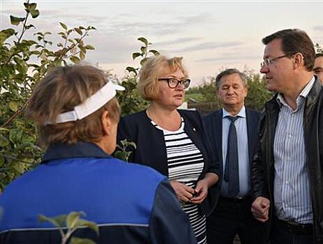 Губернатор посетил садоводческое предприятие в Сергиевском районе