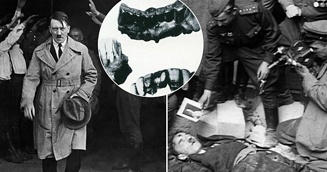 Ученые раскрыли все тайны о смерти Гитлера
