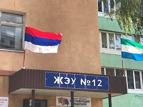 В Башкирии на избирательном участке неправильно развесили флаги