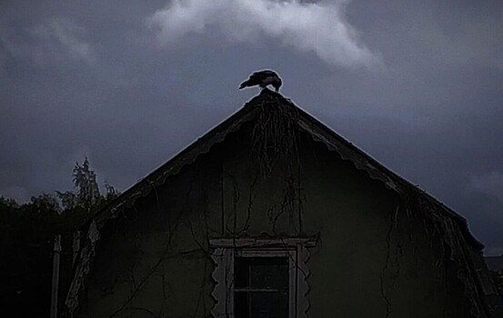 Костромская область пошла на дно рейтинга ЗОЖ