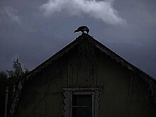 Костромская область пошла на дно рейтинга ЗОЖ