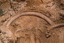 Новые открытия археологов отодвинули начало каменного века на десятки тысяч лет
