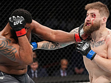 Все результаты и бонусы UFC on ESPN 33 Блейдс – Докос
