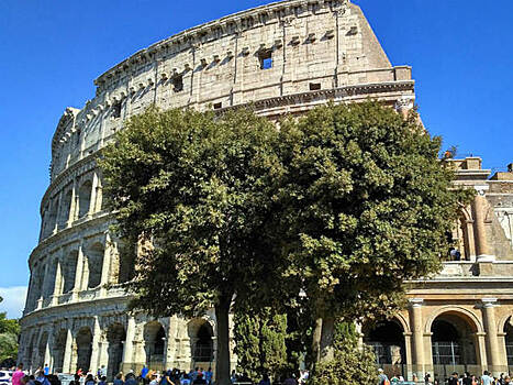 В Риме иностранный турист пытался украсть фрагмент Колизея