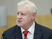 Депутат Миронов назвал уроком релокантам включение Земфиры* в базу «Миротворца»