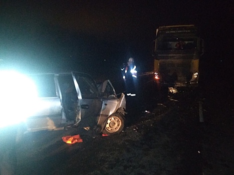 Под Пензой после встречи с фурой спасатели извлекали водителя из искореженного авто