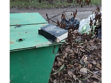 &laquo;Сатана дрожит от страха&raquo;: в Каменске на мусорке нашли Библию