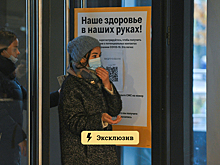 Вирусолог оценил решение о выдаче россиянам QR-кодов по антителам